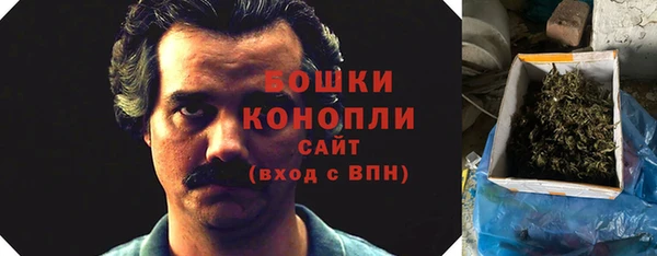 молекула духа Медвежьегорск