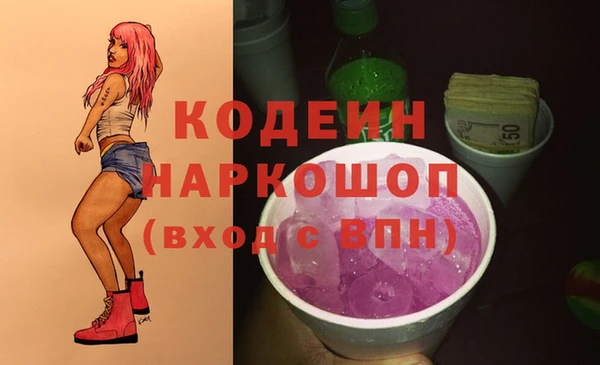 молекула духа Медвежьегорск