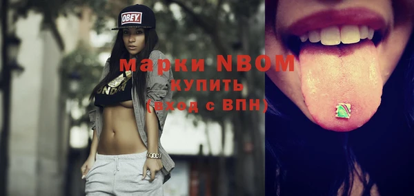 молекула духа Медвежьегорск