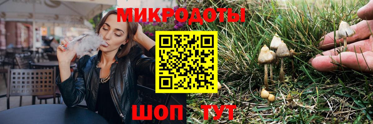Псилоцибиновые грибы MAGIC MUSHROOMS  Майкоп  Псилоцибиновые грибы прущие грибы 