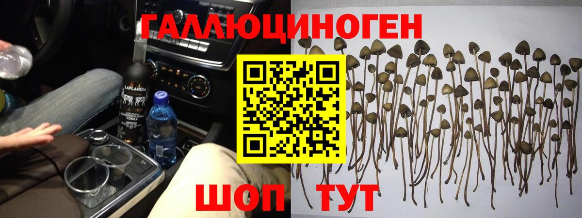 Галлюциногенные грибы мухоморы  Вход с VPN  Майкоп 