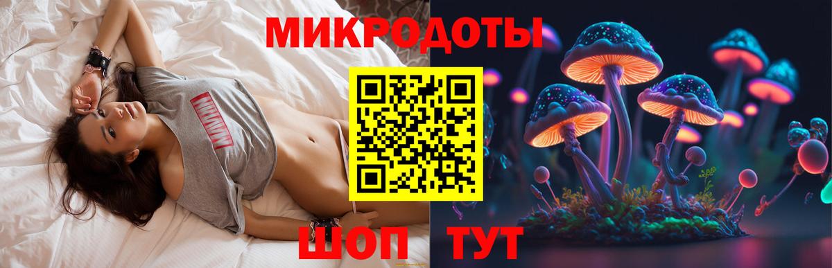 Псилоцибиновые грибы ЛСД Майкоп